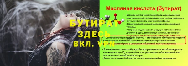 твердый Дмитров