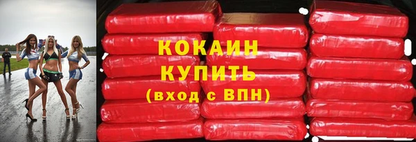 твердый Дмитров