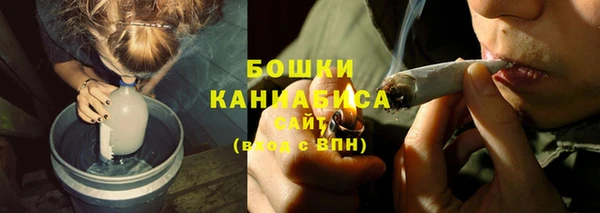 трава Гусев