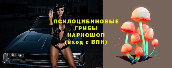 прущие крисы Дмитровск