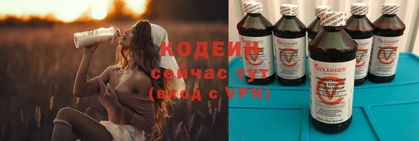 винт Дмитриев