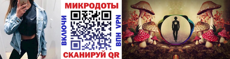 Псилоцибиновые грибы Psilocybe  Купить где  Майский 